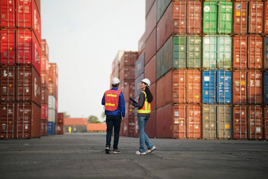 professionals in foreign trade checking containers 