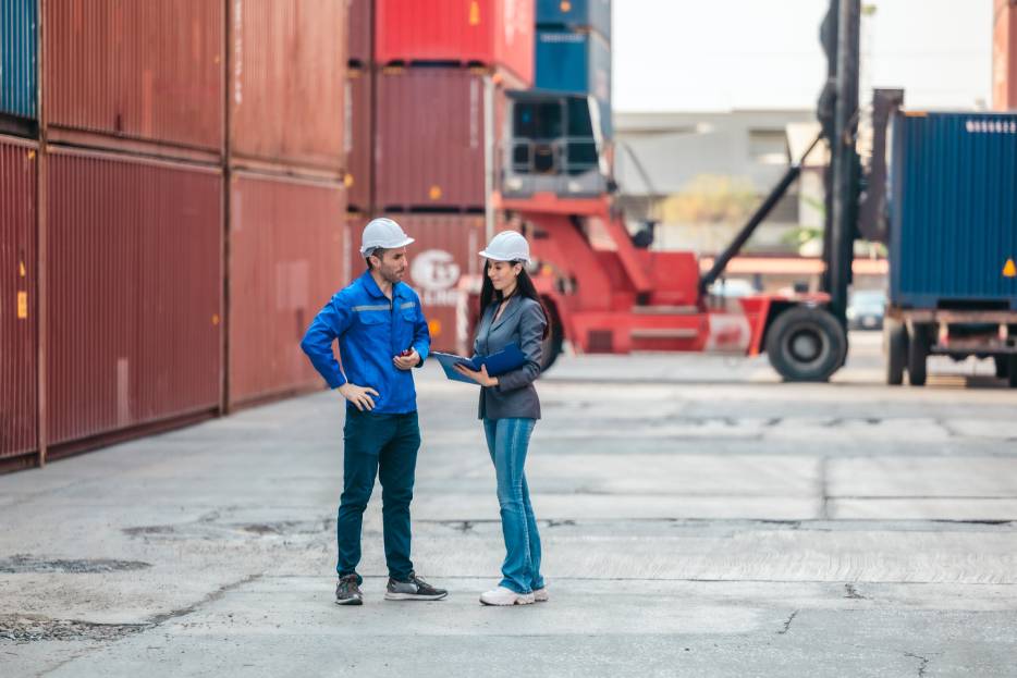 customs professionals reviewing processes 